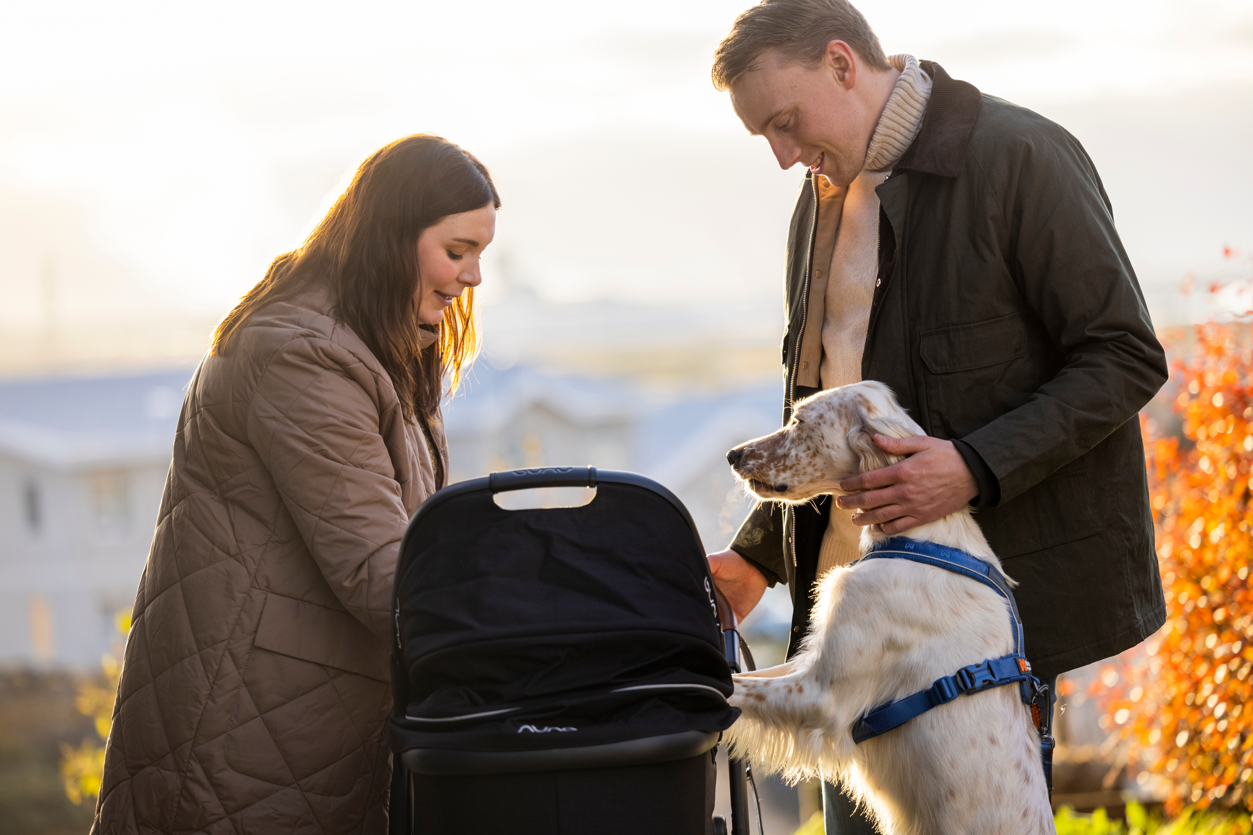 Ökutækjatrygging – Sjóvá